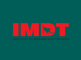 Imdt store dog training